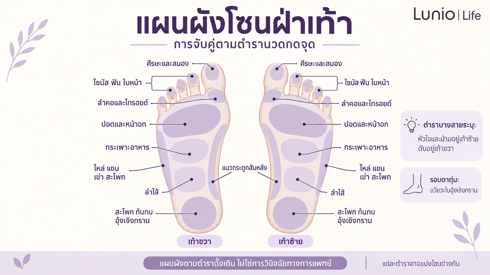 oot reflexology zones
